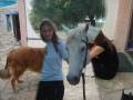 videos de Animals