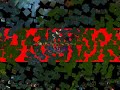 Warscar 60 warrior pvp