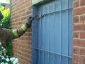 Removing bars with handtools