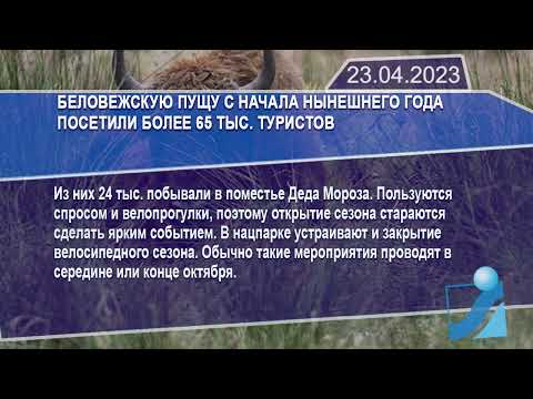 Новостная лента Телеканала Интекс 23.04.23.