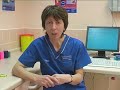 Watch the Cat Kidney Failure Video