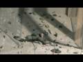videos de Mirko on the rock