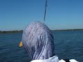 Shallow water redfish fight