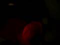 videos de Spiderman