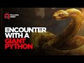 videos de One Big Snake
