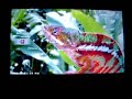 SchmEdia SchEnter XMB theme for PSP 3.90m33 3.80m33 3.71m33