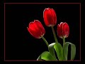 Noor Jahan - (Ghazal) - Silsilay Torh Gaya Woh