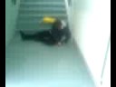 stair surfing