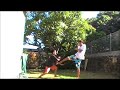 Martial arts 2