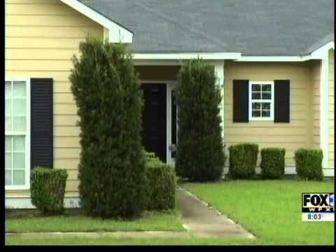 how to control kudzu bugs