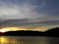 e-flite Piper Wasserflug 1