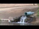 water drain and white bird water drain and white bird