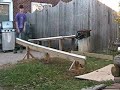 Tommy Kane October P - Rail