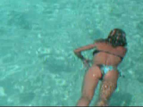 Sexy girl swims with sharks. Sexy girl swims with sharks.