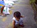 zedrick 12 nov 2007