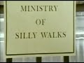 Silly Walk - Distonia