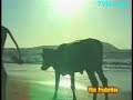 www.7vn.com