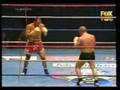 Kickbox-Sirtaki