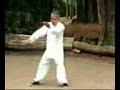 Master Wang hao da Wu taichi fast form
