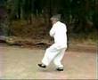 Master Wang hao da Wu taichi fast form