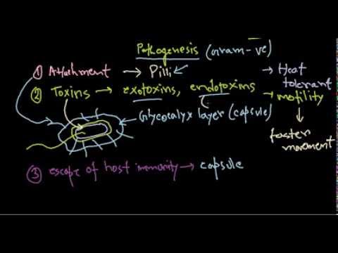how to cure pseudomonas
