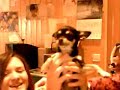 fiRki & pekiiiinS2(L) xDDDDDD