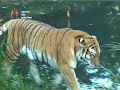 Zoo