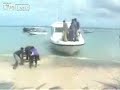Ocicazo en la arena