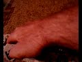 Bioloid Tweezers with feedback