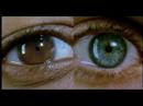 requiem for a dream - Requiem for a Dream - Flixster Video