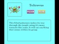 videos de Pokedex Entries for my Sprites (1-5)