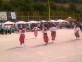 Brodarevo sajam