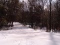 Apalachian Trail-winter 2008 - NJ