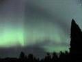 Aurora Borealis Northern Lights - Terrace BC Canada