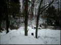 videos de me and Gizz juming in the snow!