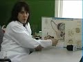 PROGRAMA PET E CIA - Otite canina PROGRAMA PET E CIA - Otite canina