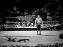 Eddie Guerreo Tribute