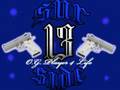 sur13