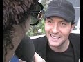 LA CRITIQUE DE L\