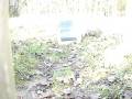 Gamo Hunter 1250 Vs Screen