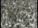 Hasse & The Reefers -  Hash hunden glammer