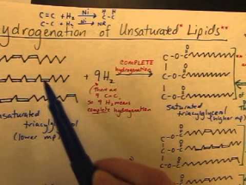 how to dissolve triglycerides