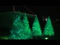 Trees!_Final.wmv