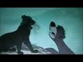BAGHEERA