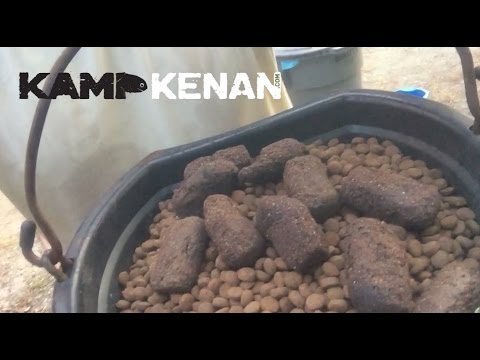 YouTube reptile video