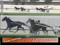 Harness Racing School with Loop Rock Girl