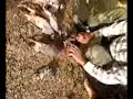 keklik,tav?an,�ulluk av? KARACASU 3