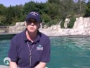 Shedd Aquarium Trainer Diary #3