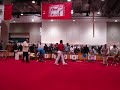 Expocan 2008