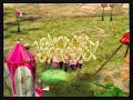 Pikmin 2 - 45 Pikmin Challenge - Day 3 Part 1